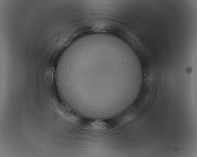 X0000111530603200907281404