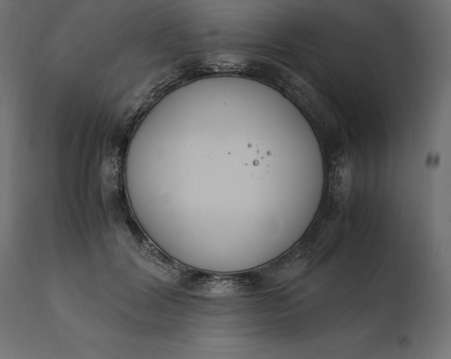 X0000111530604200907281404