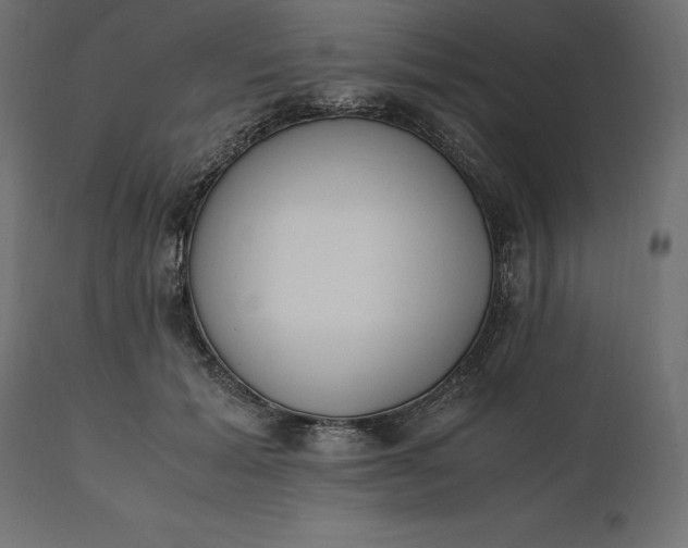 X0000111530605200907281404