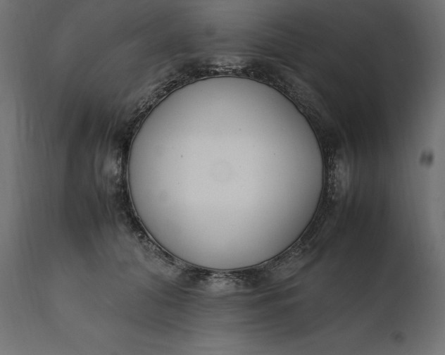 X0000111530608200907281404