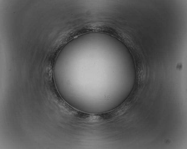 X0000111530609200907281404