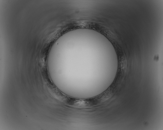 X0000111530611200907281404