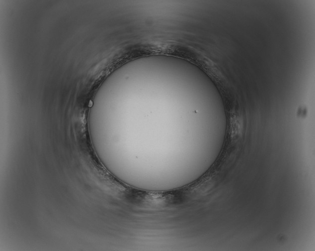 X0000111530613200907281404