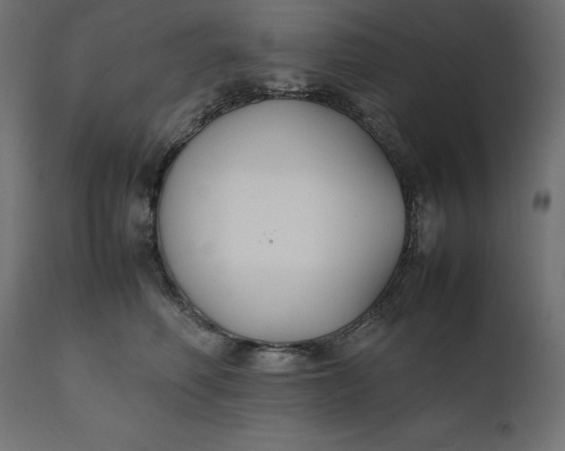 X0000111530614200907281404