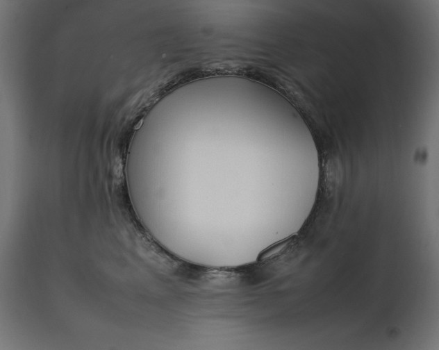 X0000111530617200907281404