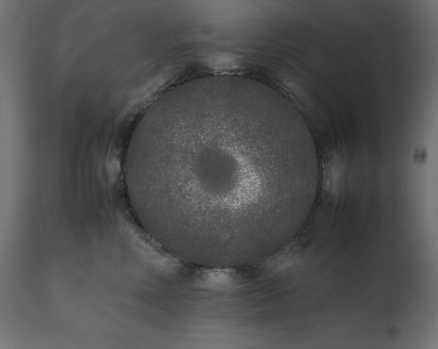 X0000111530618200907281404