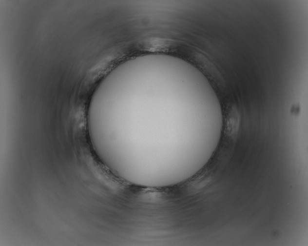 X0000111530620200907281404