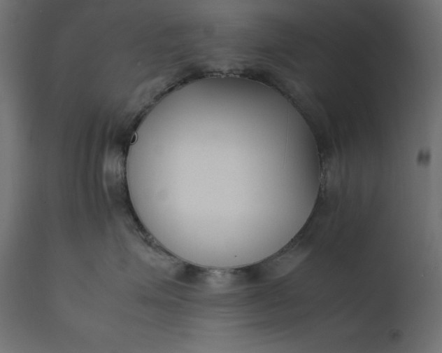 X0000111530623200907281404