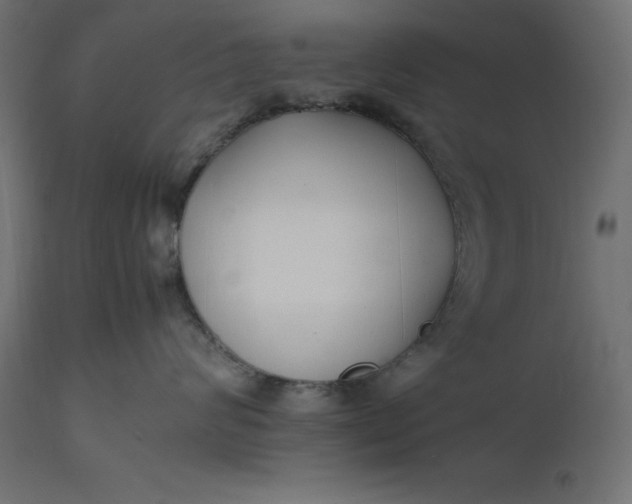 X0000111530624200907281404