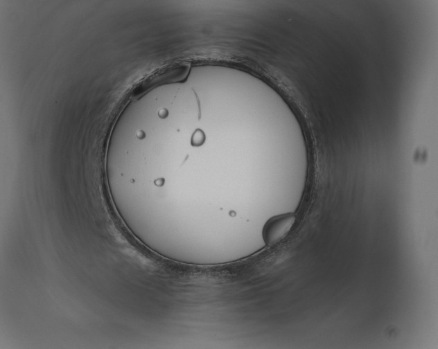 X0000111530625200907281403