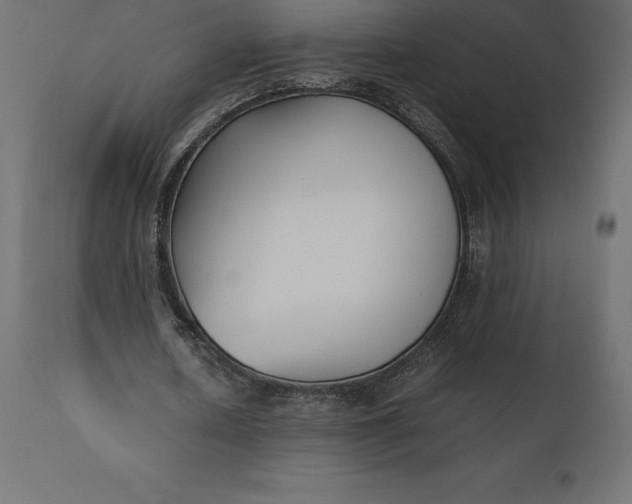 X0000111530626200907281403