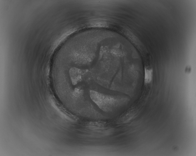 X0000111530627200907281403