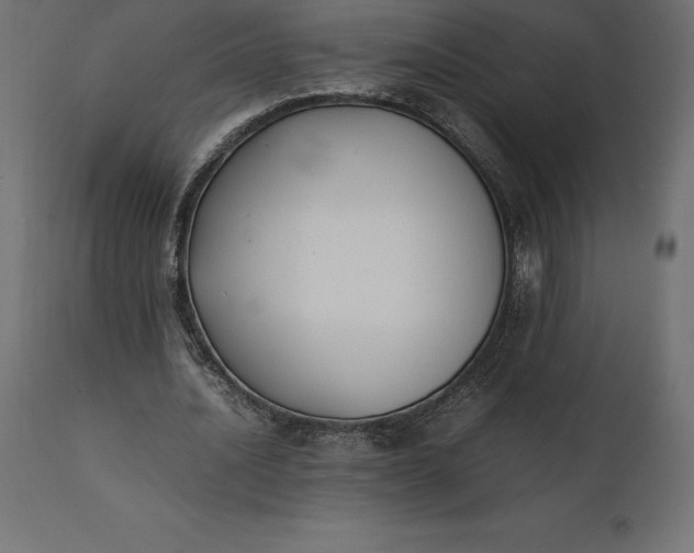 X0000111530628200907281403