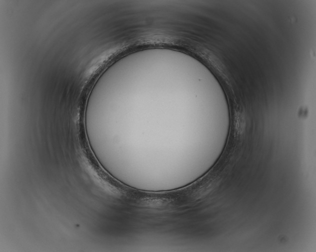 X0000111530629200907281403