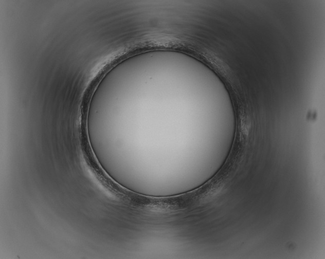 X0000111530630200907281403