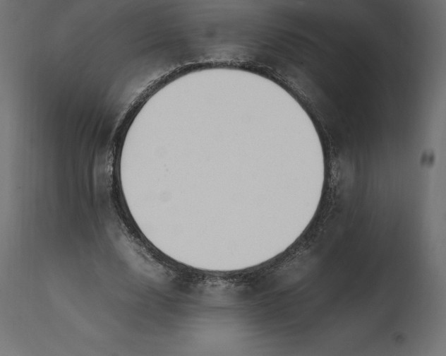 X0000111530632200907281403