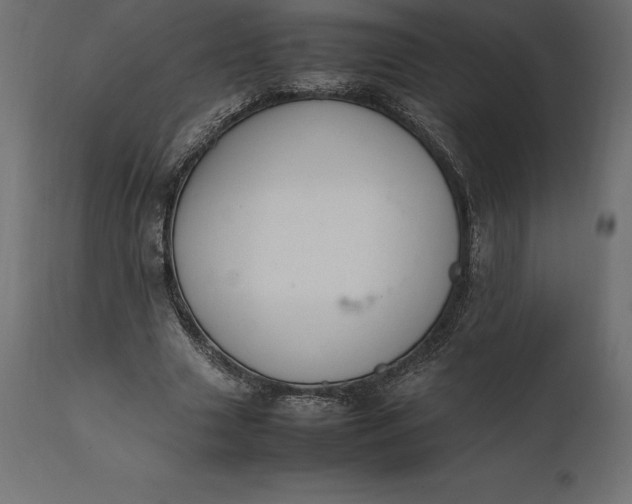 X0000111530633200907281403