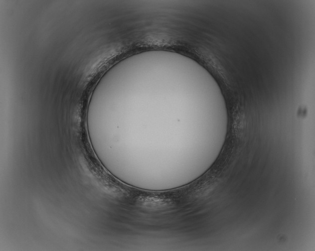 X0000111530635200907281403