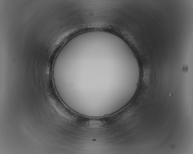 X0000111530636200907281403