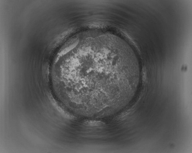 X0000111530637200907281403