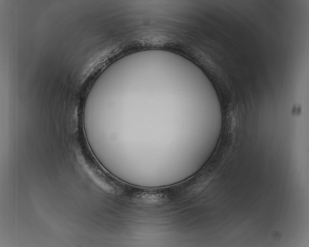 X0000111530638200907281403