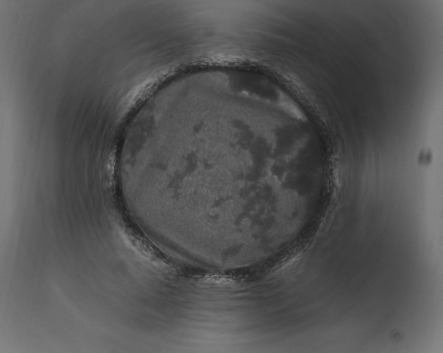 X0000111530640200907281403