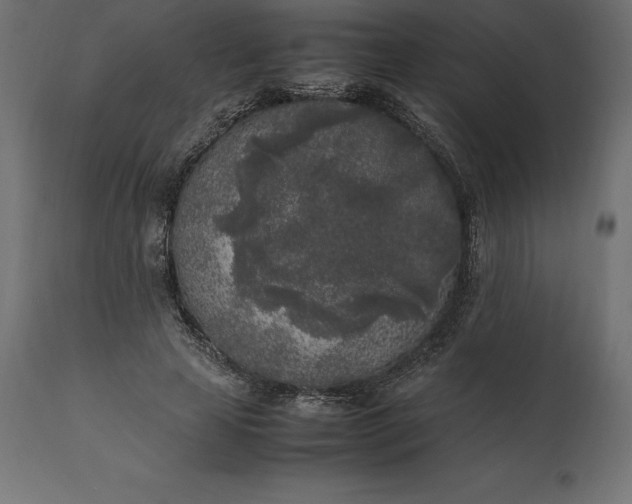 X0000111530641200907281403