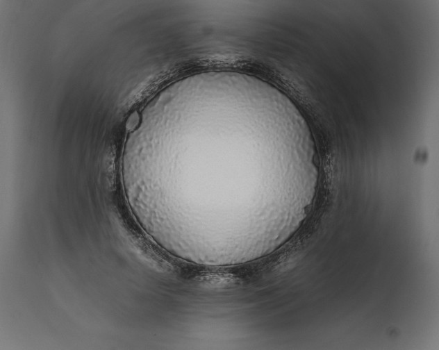 X0000111530642200907281403