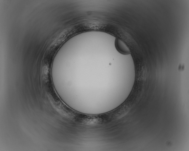 X0000111530646200907281403