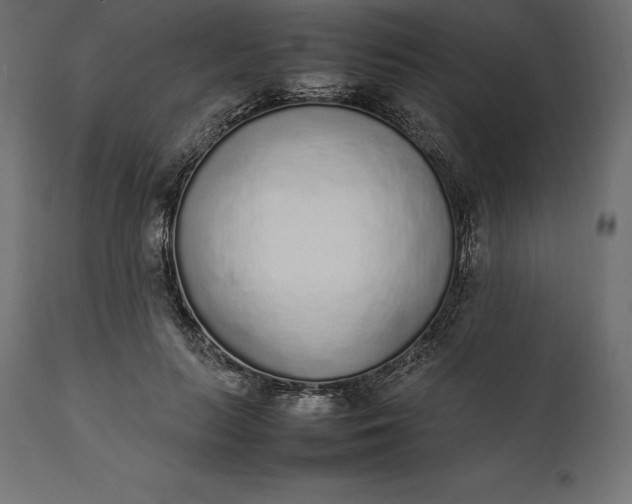 X0000111530647200907281403