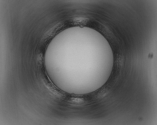 X0000111530649200907281403