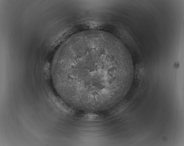 X0000111530650200907281403