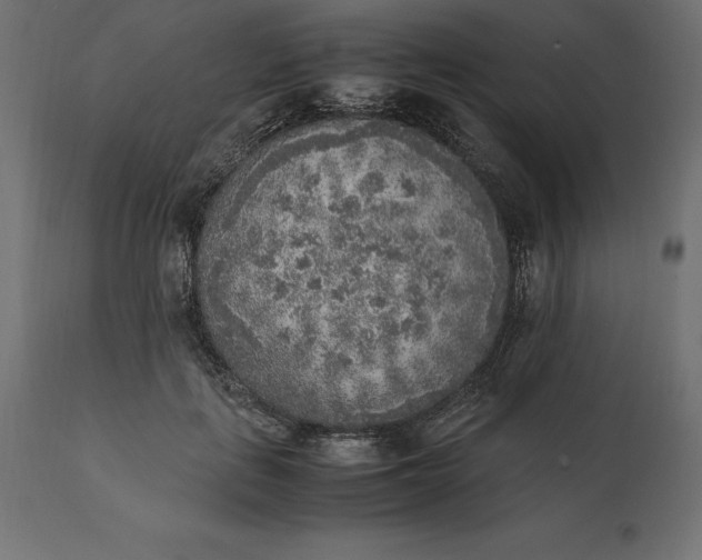 X0000111530651200907281403