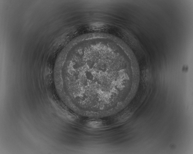 X0000111530653200907281403