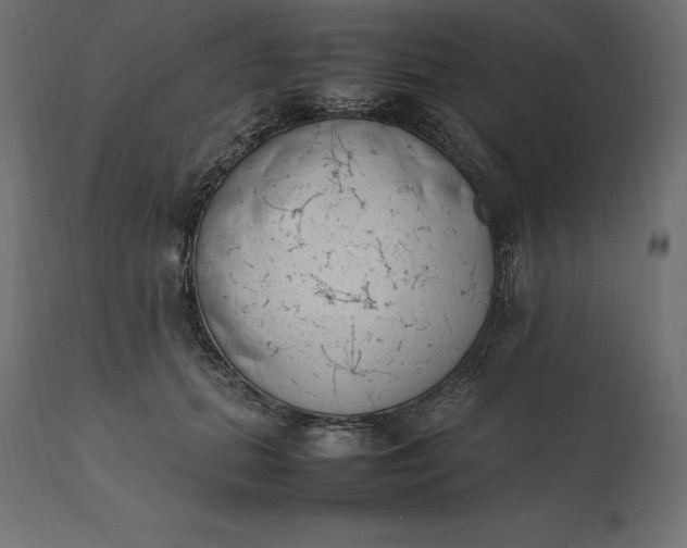 X0000111530655200907281403