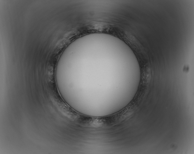 X0000111530656200907281404