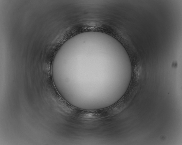 X0000111530657200907281404