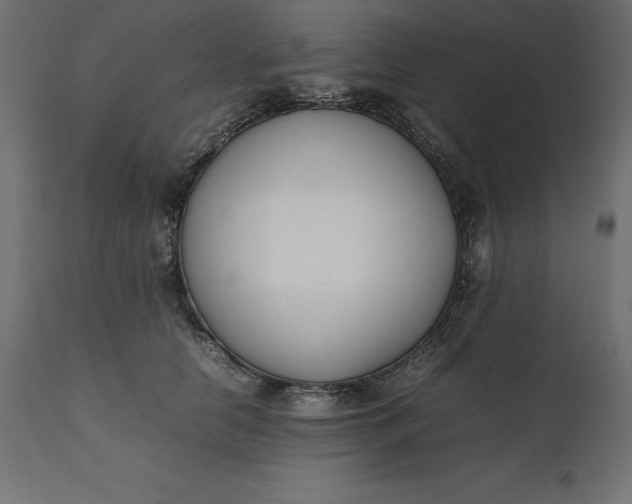 X0000111530658200907281404