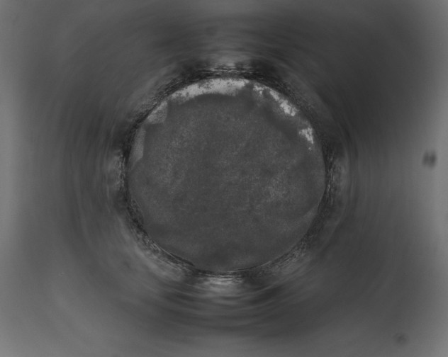 X0000111530659200907281404