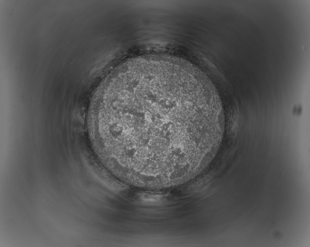 X0000111530661200907281404