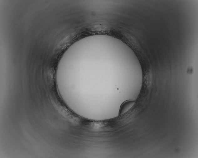 X0000111530662200907281404