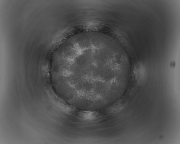 X0000111530663200907281404