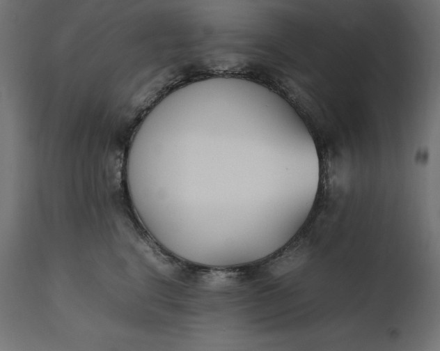 X0000111530664200907281404