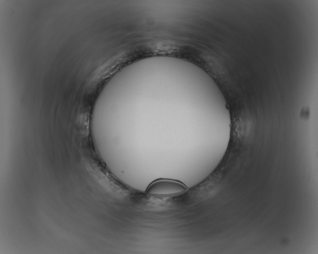 X0000111530666200907281404