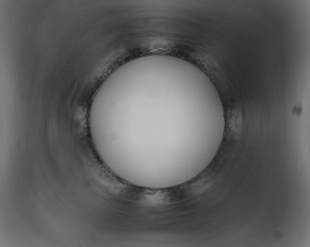 X0000111530667200907281404