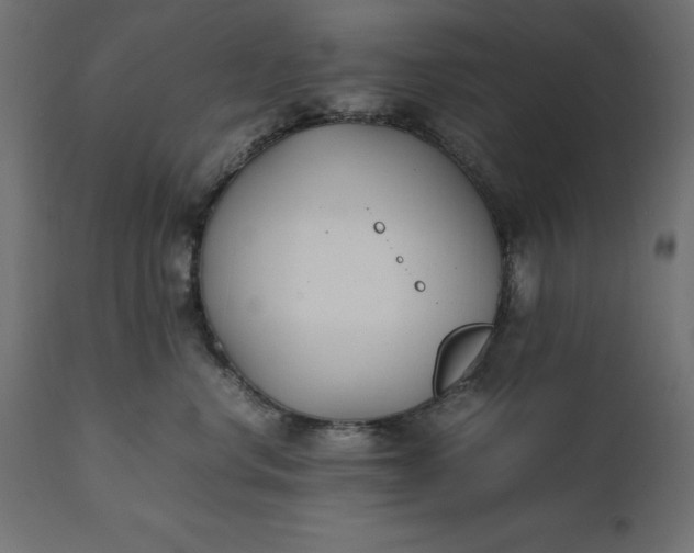 X0000111530668200907281404