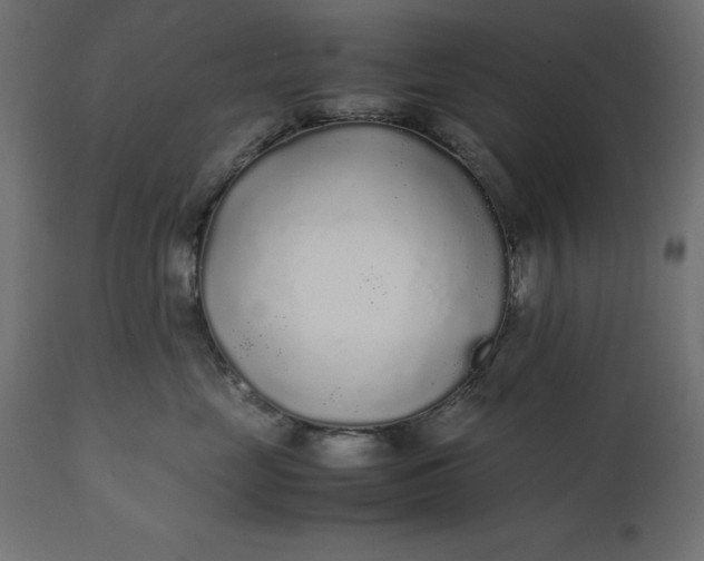 X0000111530669200907281404