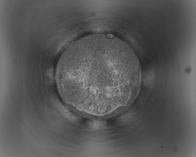 X0000111530670200907281404