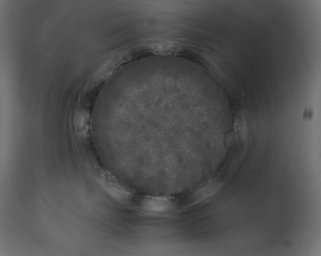 X0000111530671200907281404