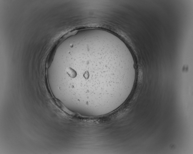 X0000111530673200907281403